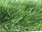Искусственная трава GG-N3-50