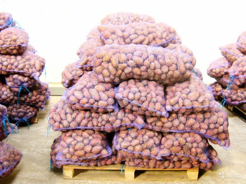 Картошка, лук, со склада в Самаре от производителя