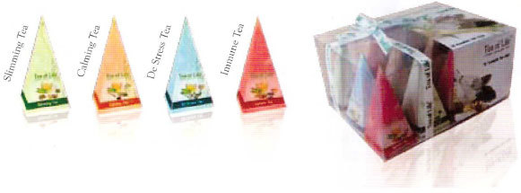 12 и 24 чайные пирамидки в индивидуальной упаковке Призма