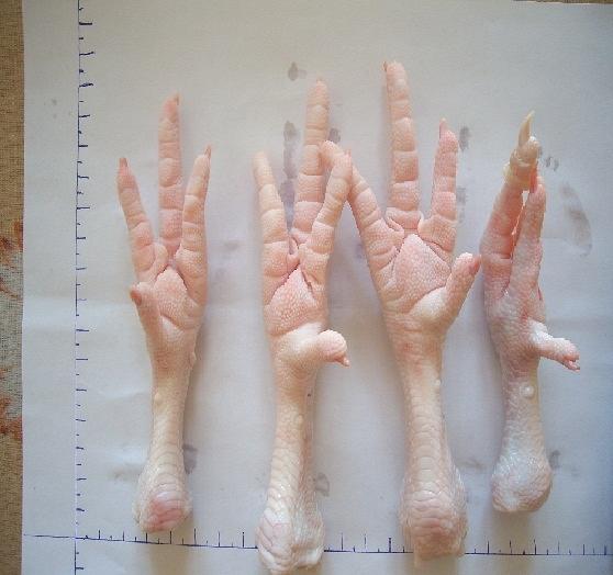 Куриная лапа из дерева своими руками 29