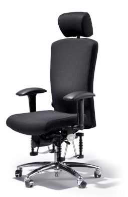 Кресла для офисов Bioswing 550