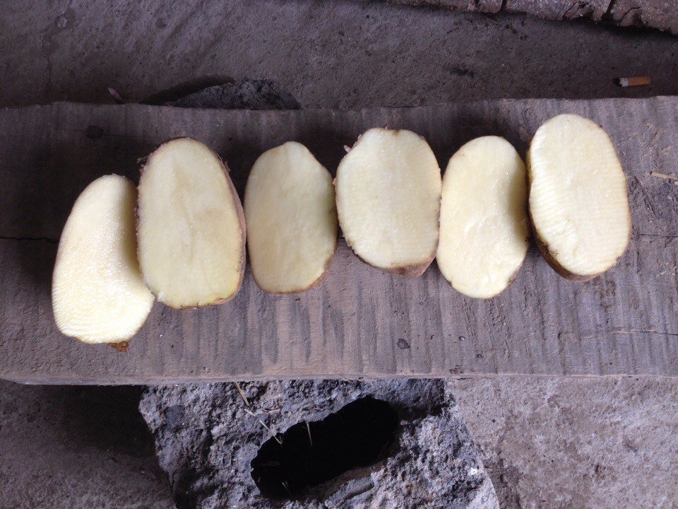 Картофель оптом 7,5 р. за кг калибр 5+ от производителя