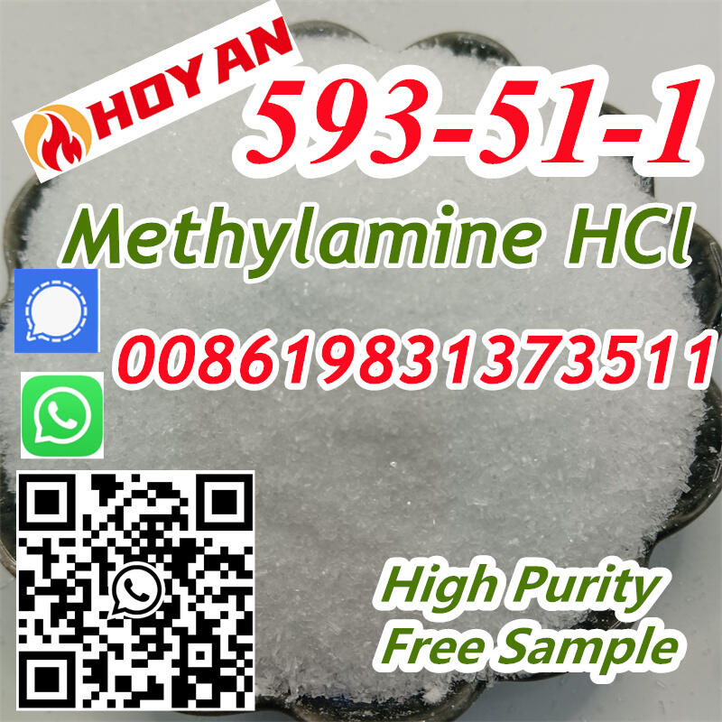 CAS 593-51-1 Seller Methylamine Hydrochloride Methylamine HCl Methylammonium chloride 8619831373511