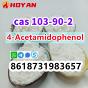 cas 103-90-2 4-Acetamidophenol powder high purity
