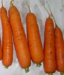 Морковь столовая свежая ГОСТ Р 51782-2001