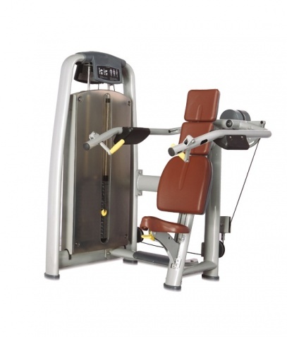 Профессиональный станок для выполнения упражнений на дельтоидные мышцы Bronze Gym A9-003A