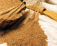 Кормовой зернопродукт пшеничный 4 категории
