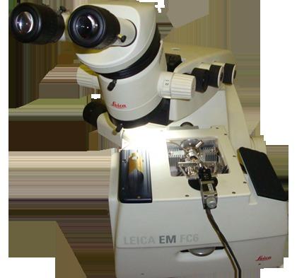 Сканирующий зондовый микроскоп, совмещенный с крио-ультрамикротомом