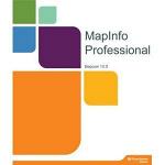 Продукт программный Mapinfo Proffessional 10.0