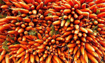 Морковь мытая навал