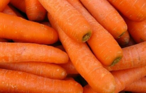 Морковь мытая (Импорт) навал