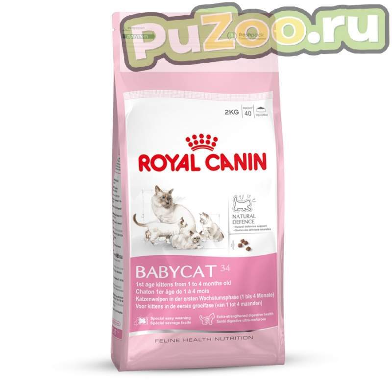 Royal canin mother & babycat - сухой корм для котят от 1 до 4 месяцев роял канин