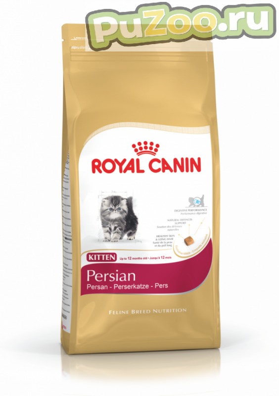 Royal canin persian kitten - сухой корм для персидских котят до 12 месяцев роял канин фелин брид нутришн (feline breed nutrition)