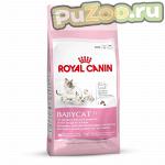 Royal canin mother & babycat - сухой корм для котят от 1 до 4 месяцев роял канин - Раздел: Зоотовары, товары для животных