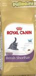 Royal Canin Kitten British Shorthair - сухой корм Роял Канин для британских короткошерстных котят - Раздел: Зоотовары, товары для животных
