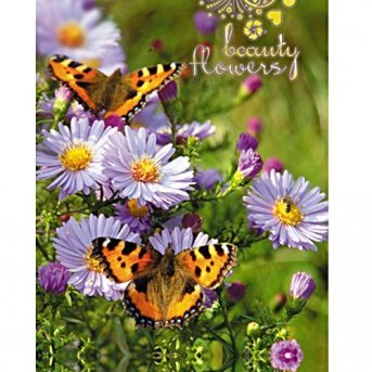 Блокнот Бабочки и цветы, клетка, А5, 60 л, Апплика