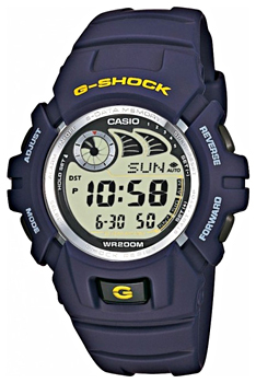 Часы наручные Casio  G-2900F-2V