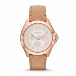 Часы наручные FOSSIL AM4532
