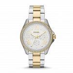 Часы наручные FOSSIL AM4543