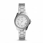 Часы наручные FOSSIL AM4576