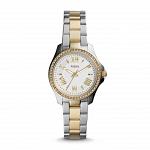 Часы наручные FOSSIL AM4579
