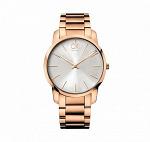 Часы наручные мужские Calvin Klein K2G21646