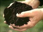 Реленд - мелиорант для восстановления почв