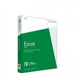Программное обеспечение Microsoft Excel 2013 32-bit/x64 Russian CEE DVD 065-07839