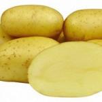 Семенной картофель Колетте