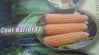 Семена кукурузы сахарной Свит Наггет F1 5000 семян - Agri (Германия)
