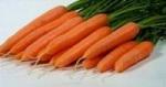 Морковь раннеспелая нантского типа Лагуна - 100 000 семян (калибр 1,6-1,8). Нунемс. Голландия.