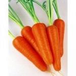 Морковь Абако F1 -  1 000 000 семян. Тип Шантане. Семинис. Голландия. Фракция 2,0-2,2