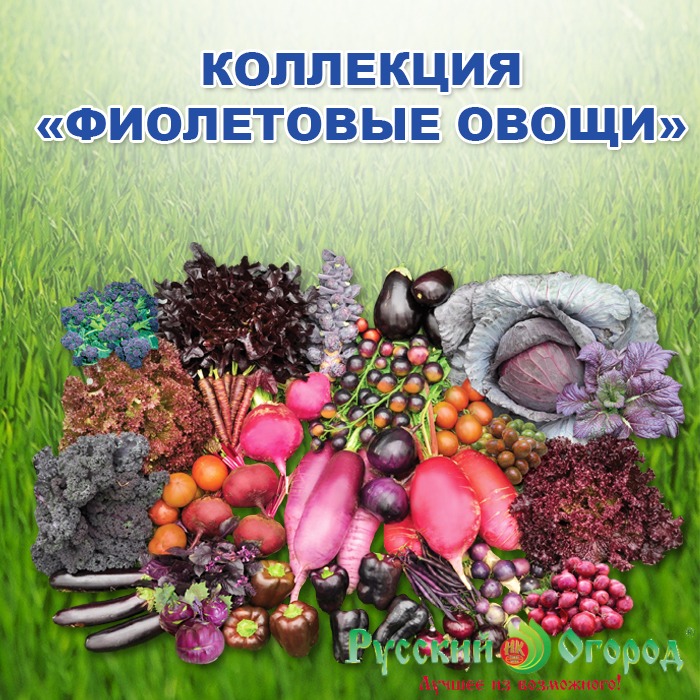 Семена Коллекция Фиолетовых Овощей