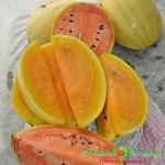 Семена Арбуз Сюрприз F1 (смесь)