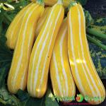 Семена Кабачок Полосатое Солнышко F1