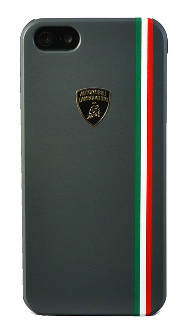 Чехол Lamborghini Tricolor для iPhone 5 серый