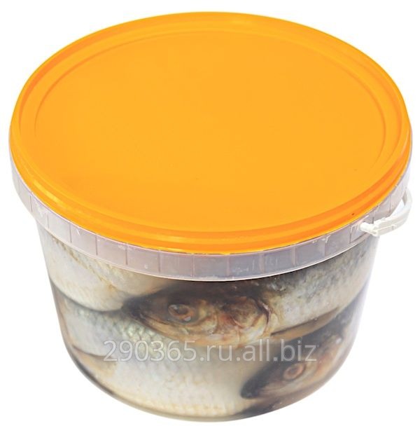 Сельдь +350 неразделанная в слабо-солевой заливке банка п/п (круглая) закладка рыбы 2,5 кг