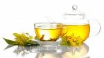 Монастырский чай для похудения — лучшее средство из травников 19 века