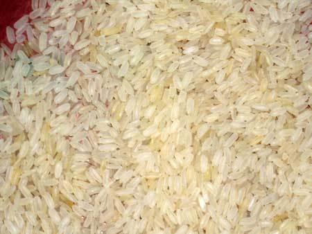 Рис короткозерный пропаренный, 5% дробления, IR-8 White Creamy, Индия