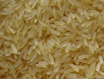 Рис Swarna - средне(короткозерный), 5%дробления