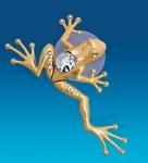 AR-1278 фигурка на магните "лягушка тропическая" (юнион) (778984)