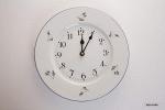 Часы настенные "Бернадот Гуси" (937337)
