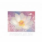 Коврик лотос 67x45см (789600)