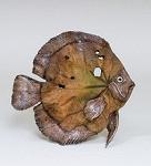 ED- 46 панно "рыбка" (783657)