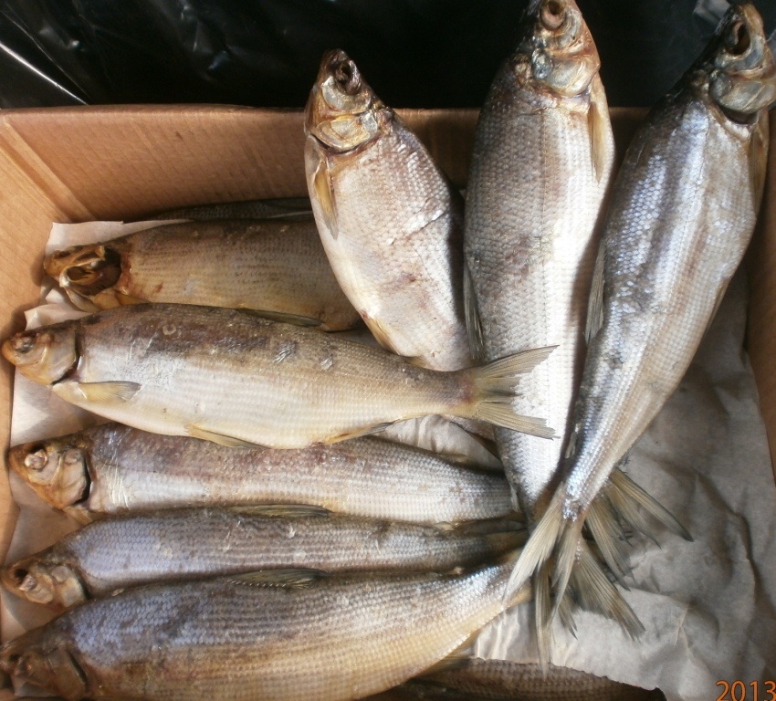 Северная Рыбка Сырок(Сиг) Рыба балычные изделия