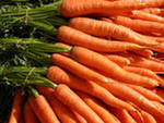 Морковь сладкая отборная