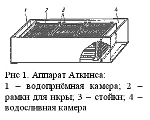 Инкубационный аппарат Аткенса