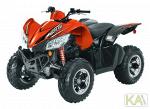 Квадроцикл Arctic Cat XC 450