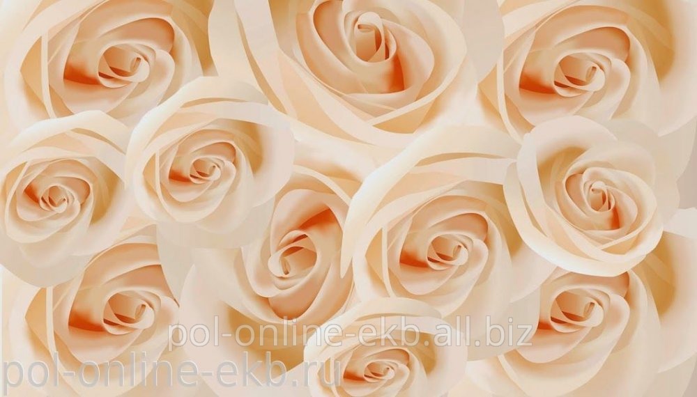 Фотопанно AntiMarker, арт.2-А-206 Белые розы