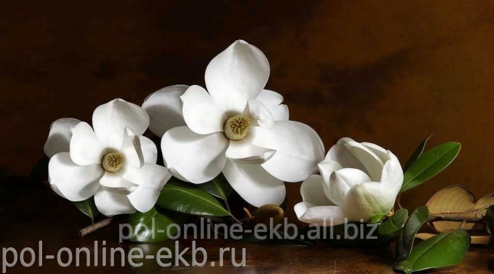 Фотопанно AntiMarker, арт.2-А-270 Белые цветы